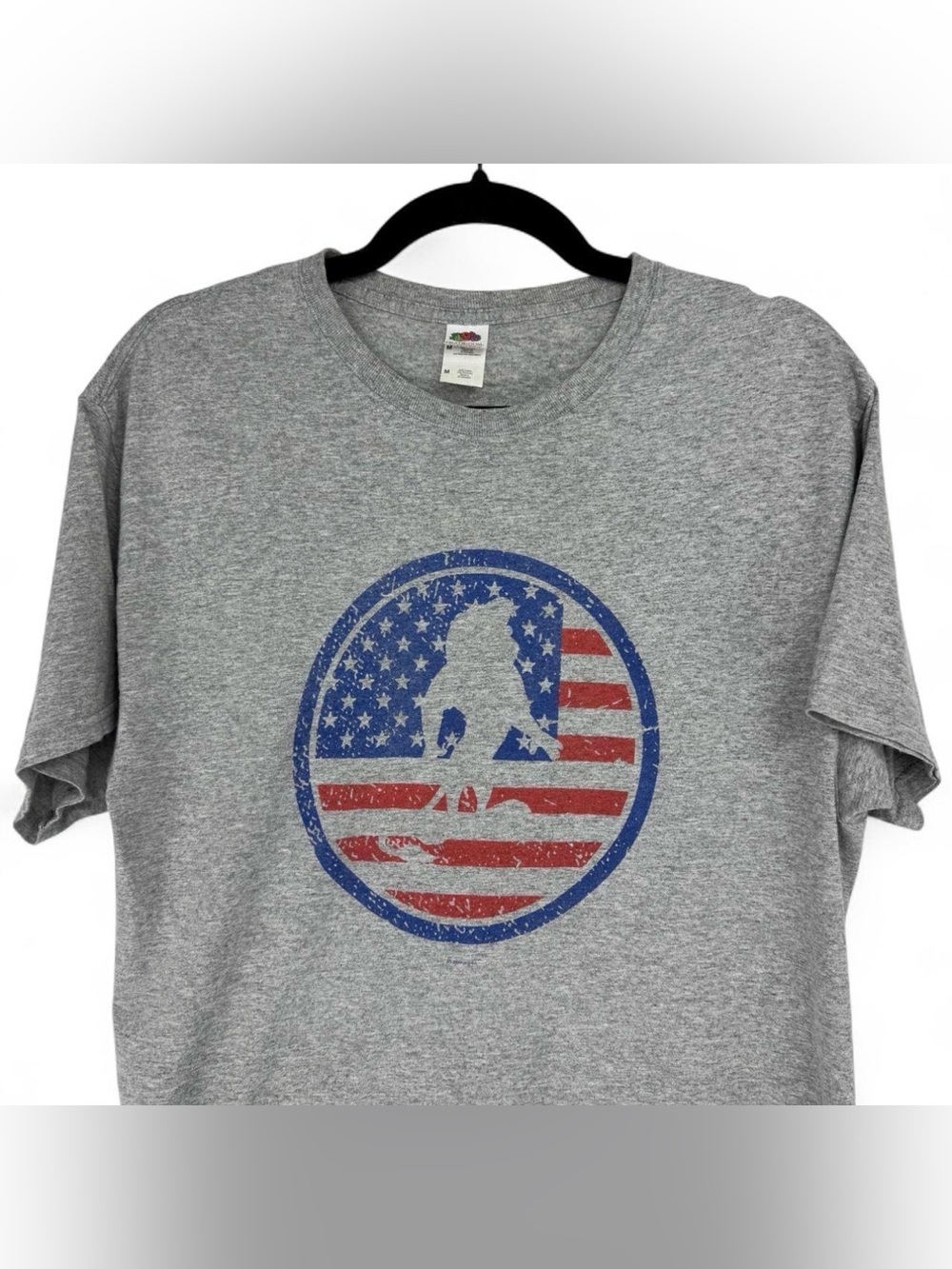Fruit of the Loom Men's Gray Graphic T-Shirt - American Flag Skate Silhouette